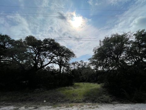 Residential Homesite with Mature Oaks