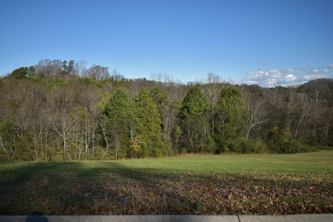 LAND - Dandridge, TN