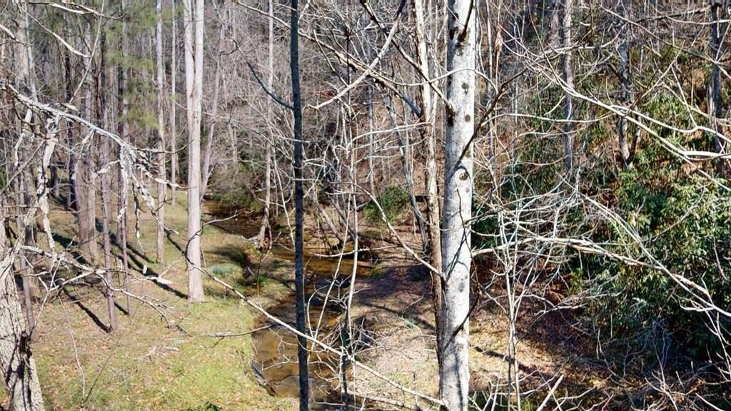 Residential Lot Backing to Creek