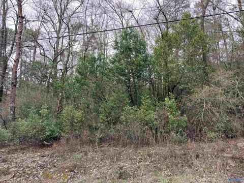 Gadsden, AL Wooded Building Lot