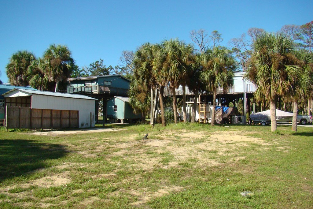 Picture 5