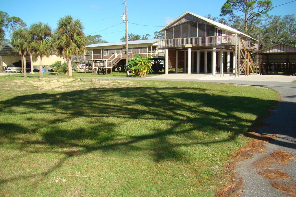 Picture 6