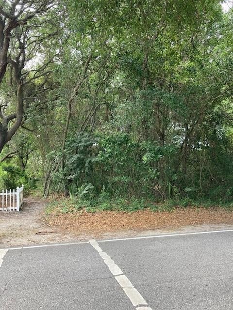 Picture 5