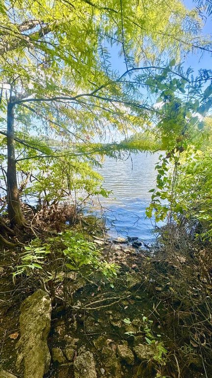 Picture 4