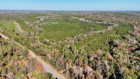 122 Acres in Eufaula, AL