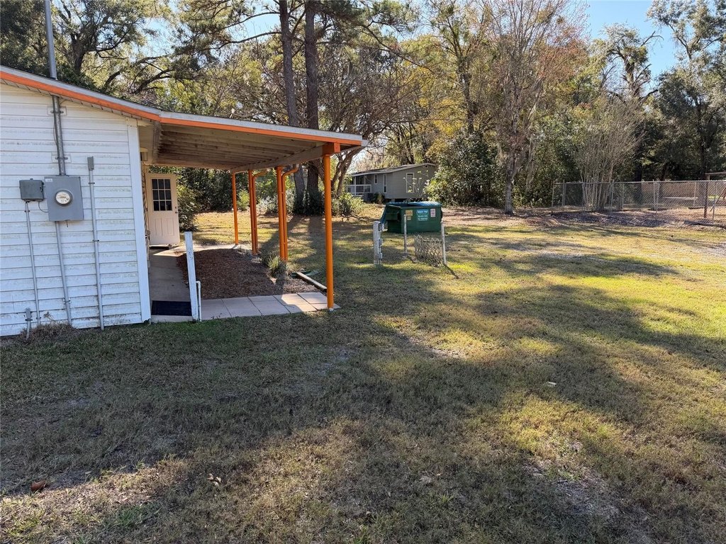 Picture 11