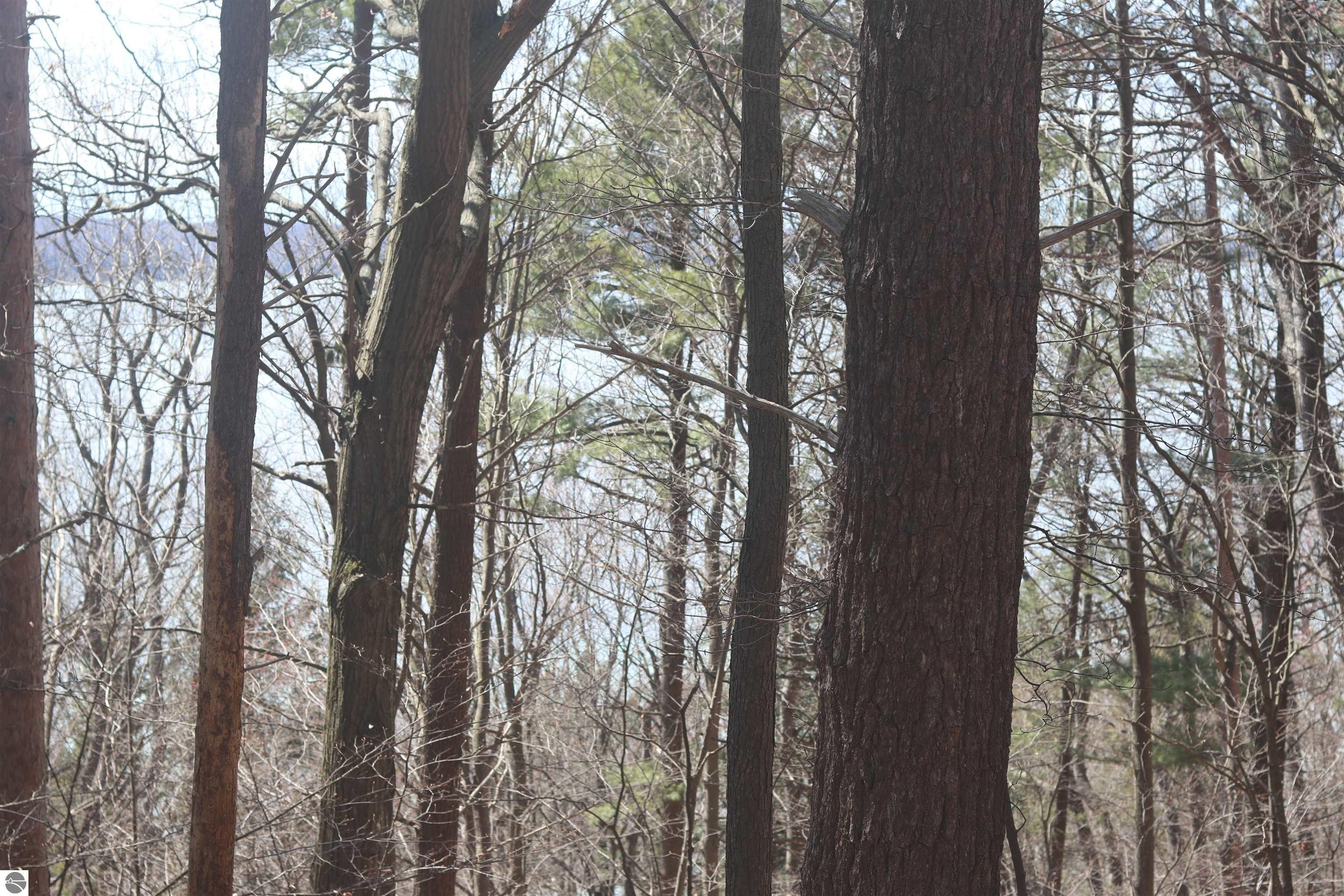 Vacant Lot/Land - Beulah, MI