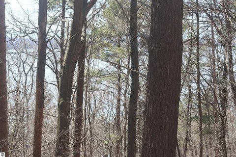 Vacant Lot/Land - Beulah, MI