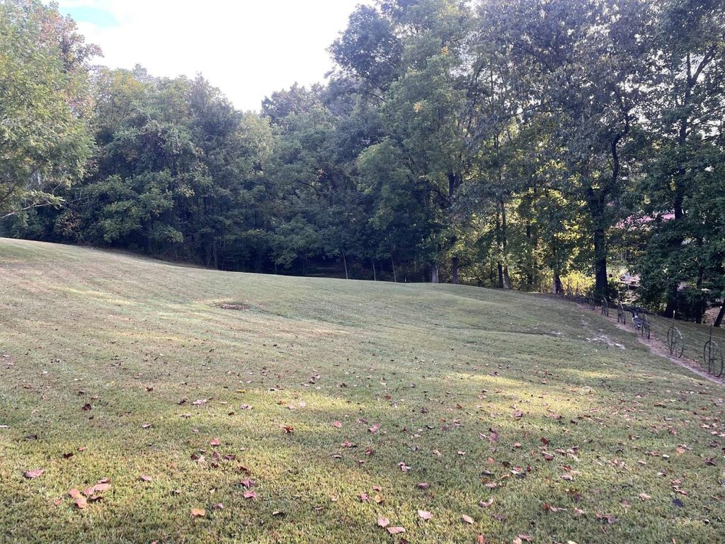 Picture 23
