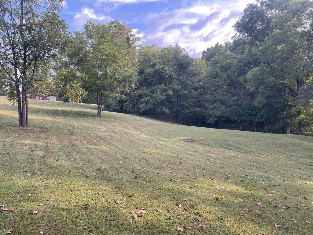 Picture 24