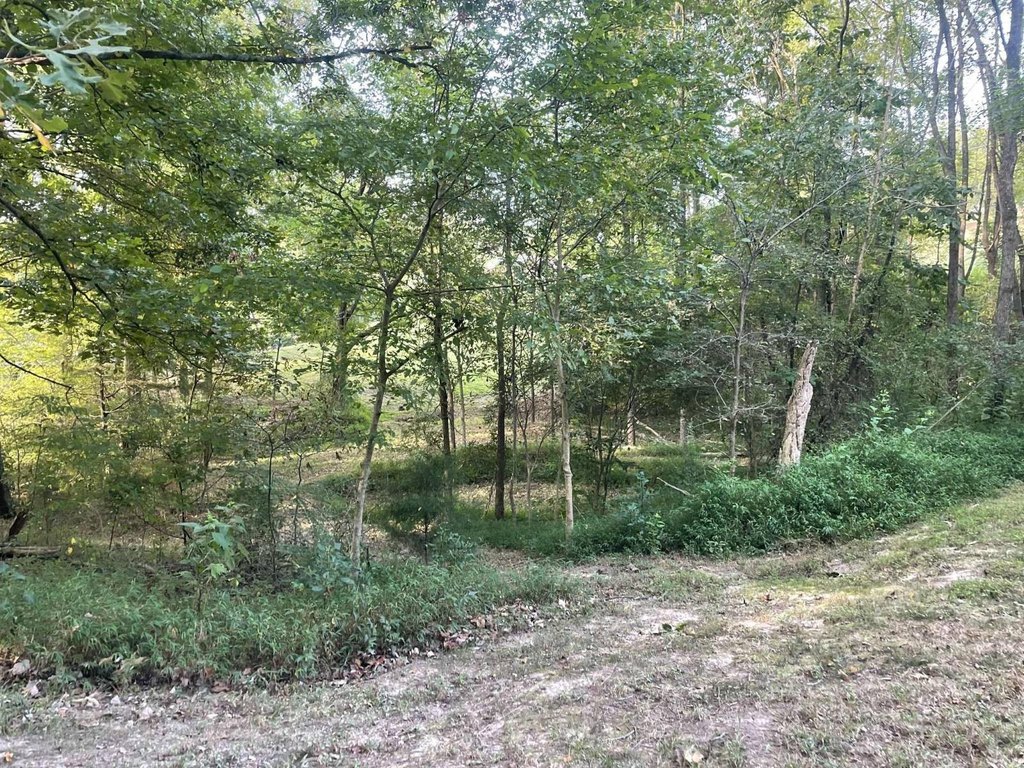 Picture 13