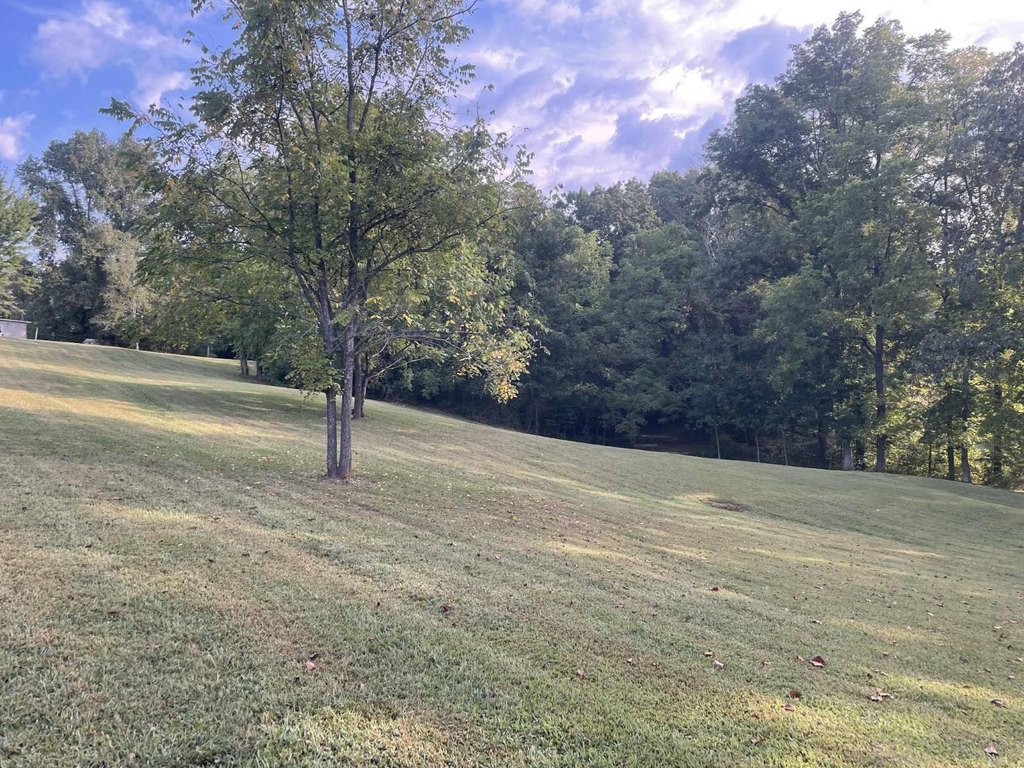 Picture 21