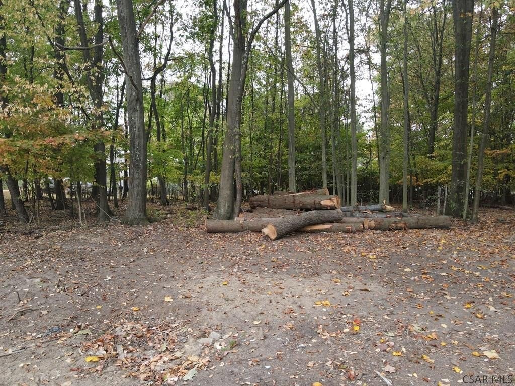 Picture 6