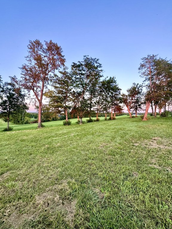 Picture 31
