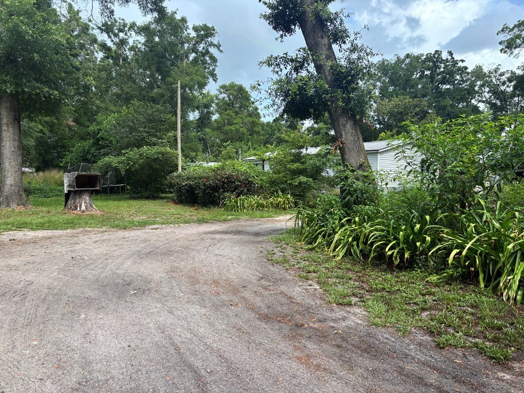 Picture 19