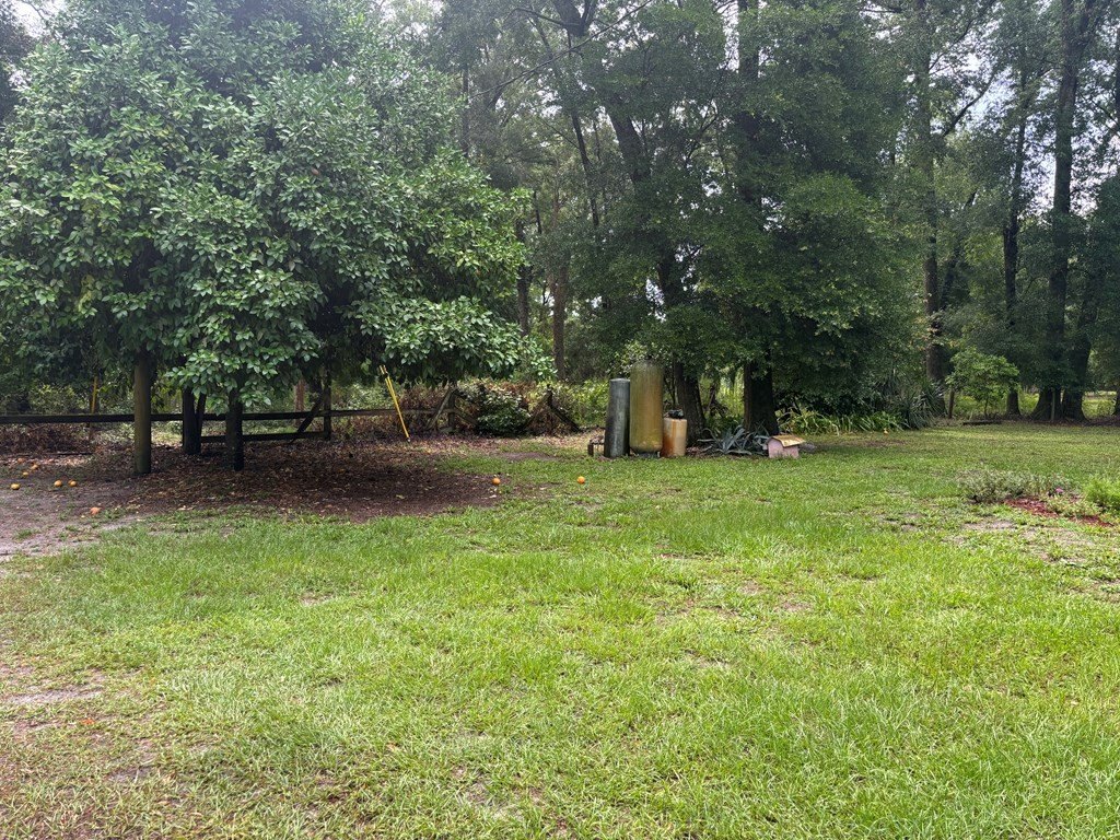 Picture 31