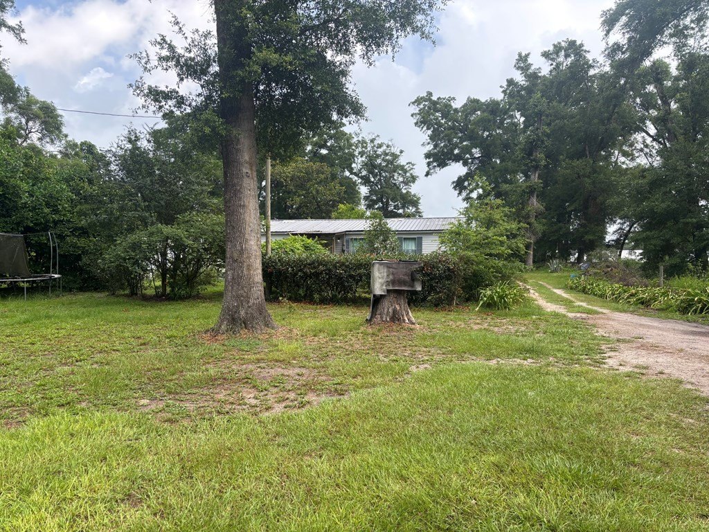 Picture 21