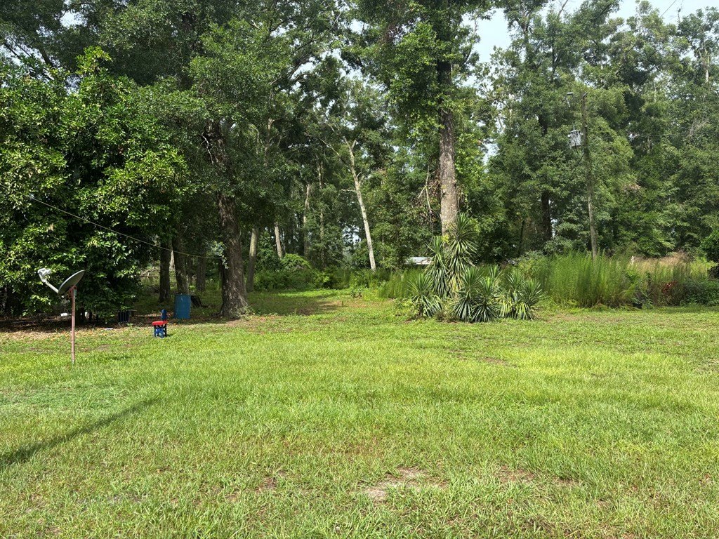 Picture 29