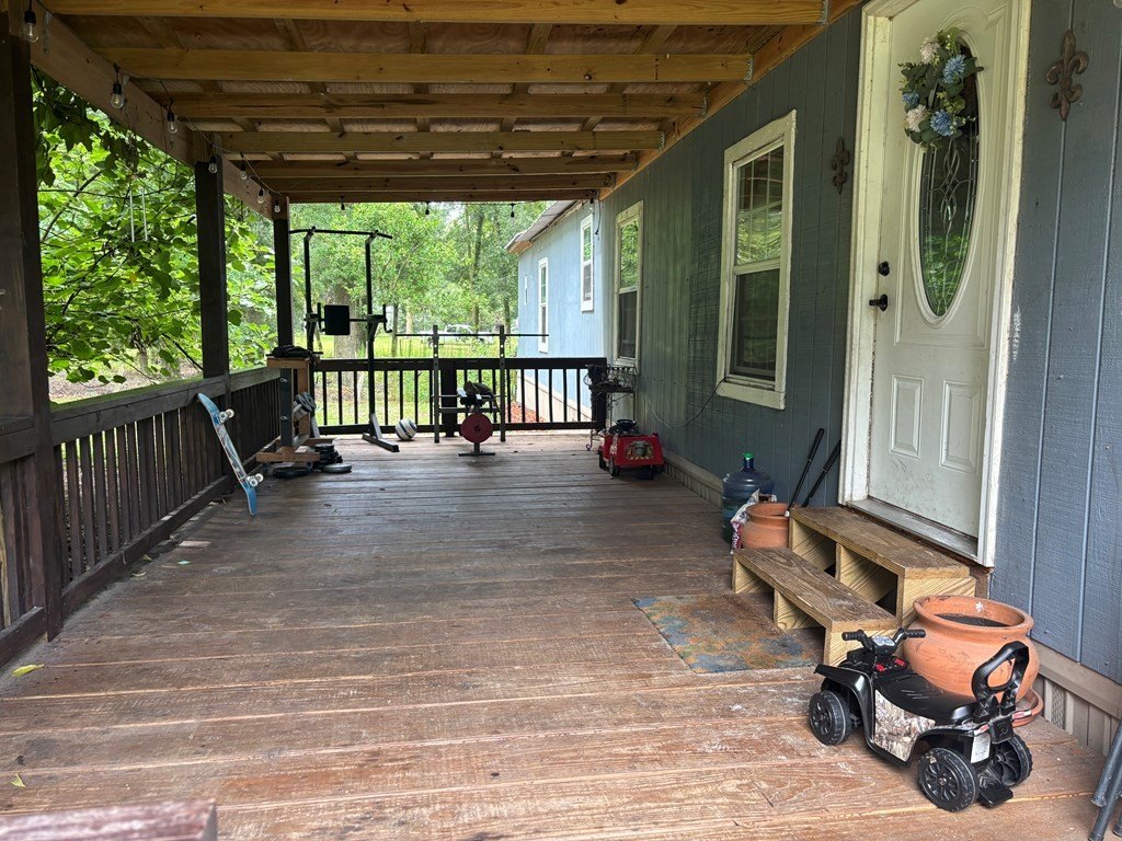 Picture 5