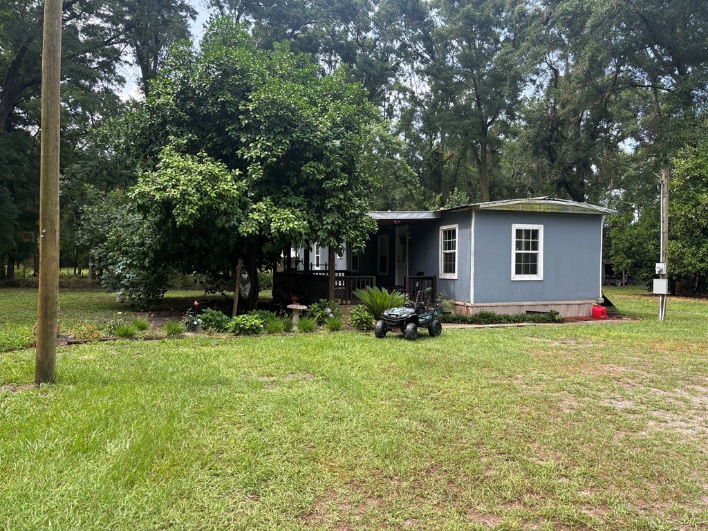 Picture 17