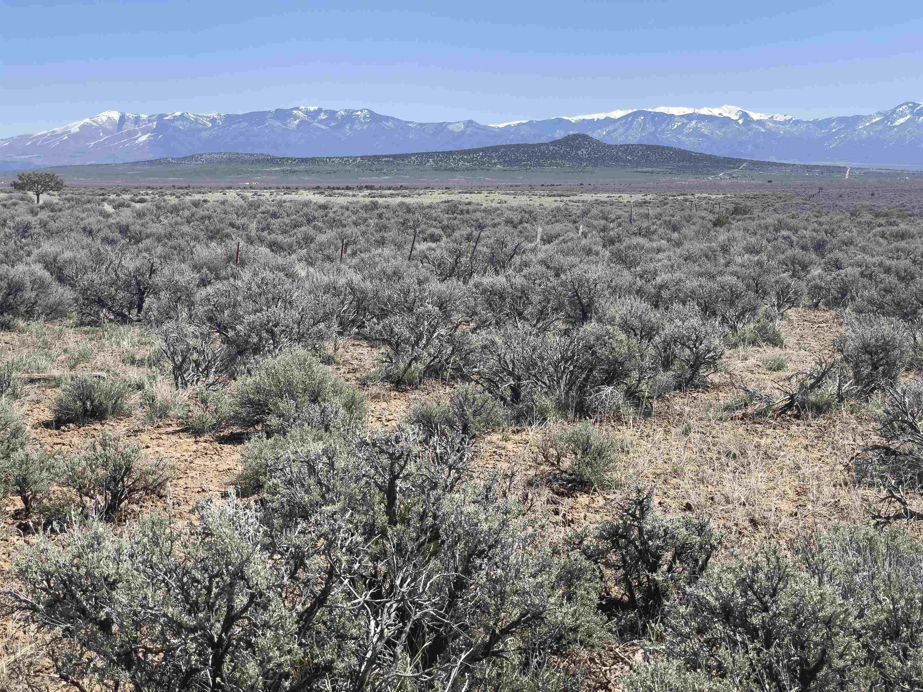 Land with Expansive Mountain Views