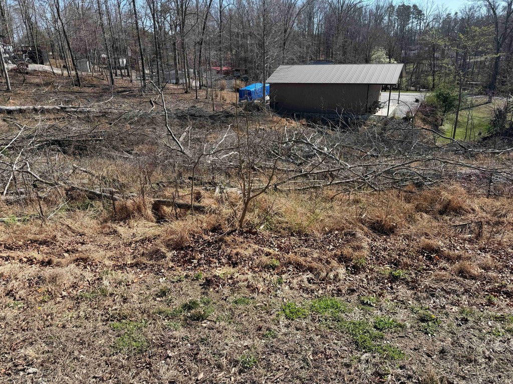 Picture 6