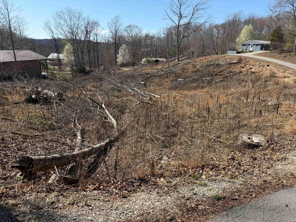 Picture 8