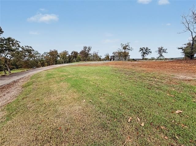 Picture 39