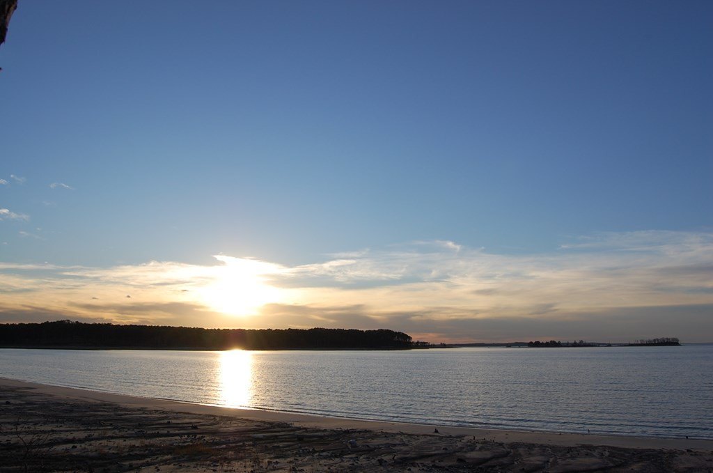 Picture 10