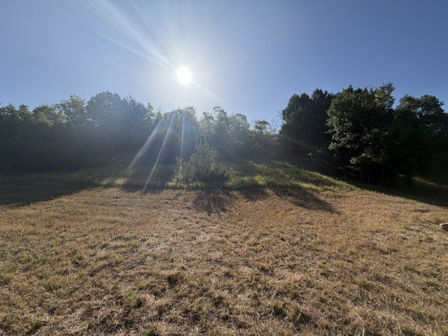 Picture 8