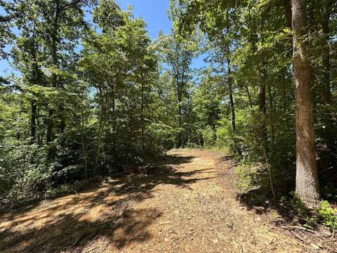 Recreational Land Tract with Creek