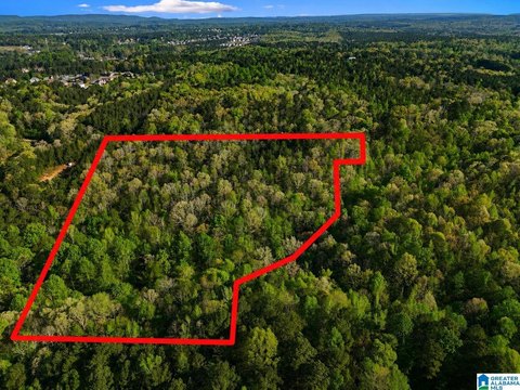 LAND - ODENVILLE, AL