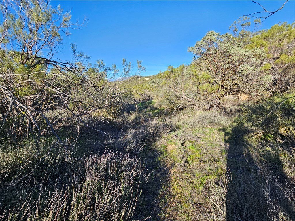 Picture 9