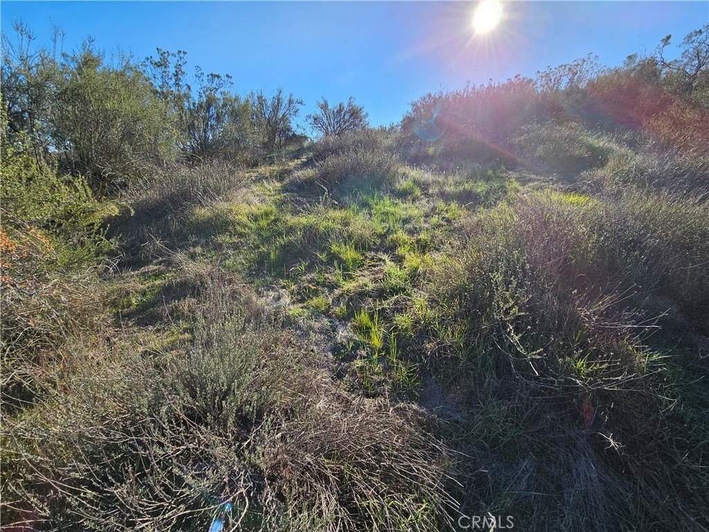 Picture 14