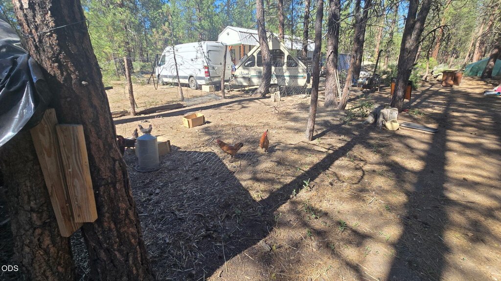 Picture 25