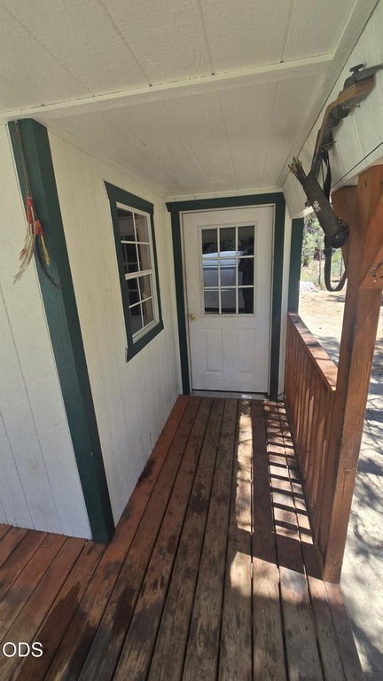 Picture 5