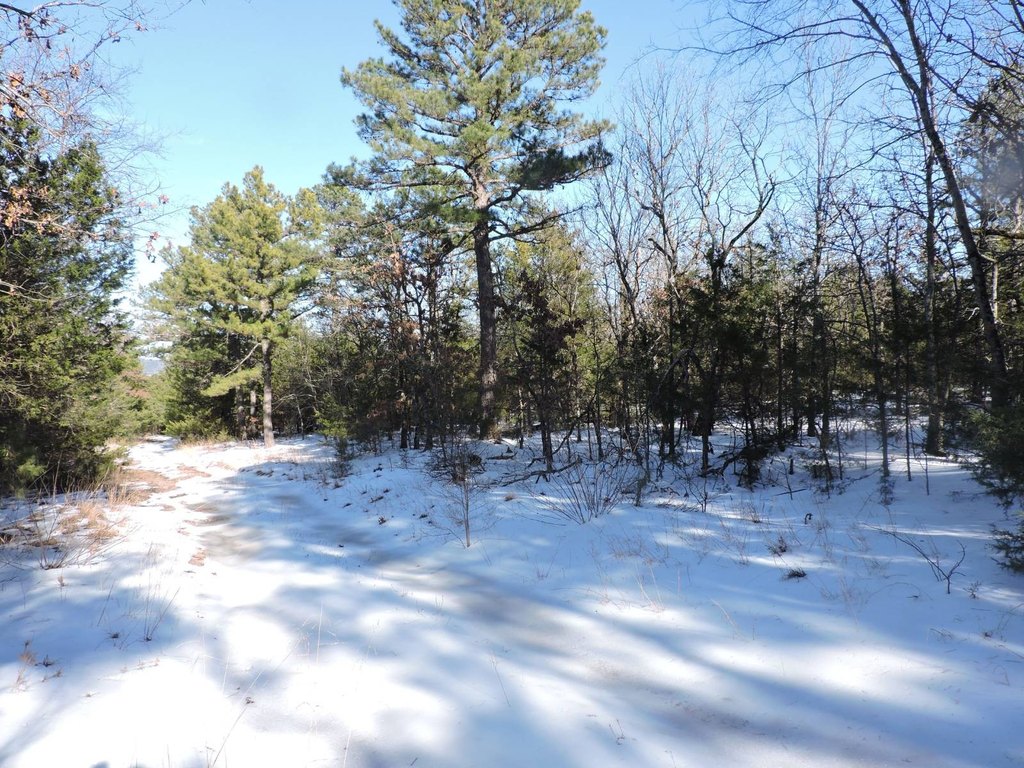 Picture 5