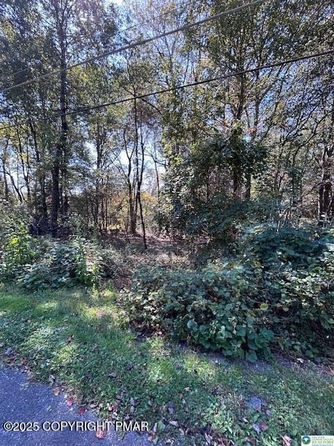 Wooded Lot Near Jim Thorpe