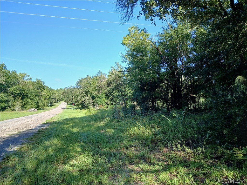 Picture 6