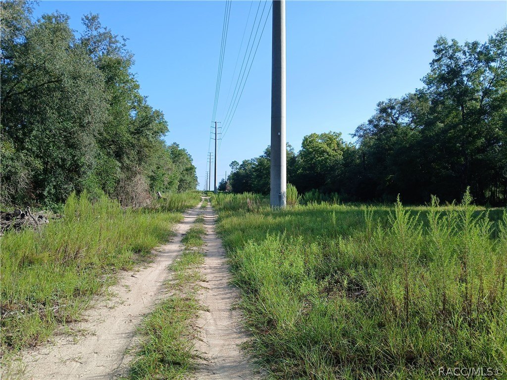 Picture 8