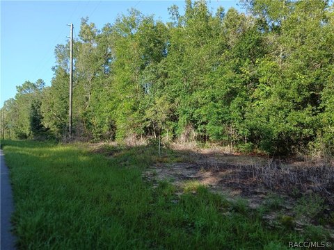 Land, Citrus Springs, FL