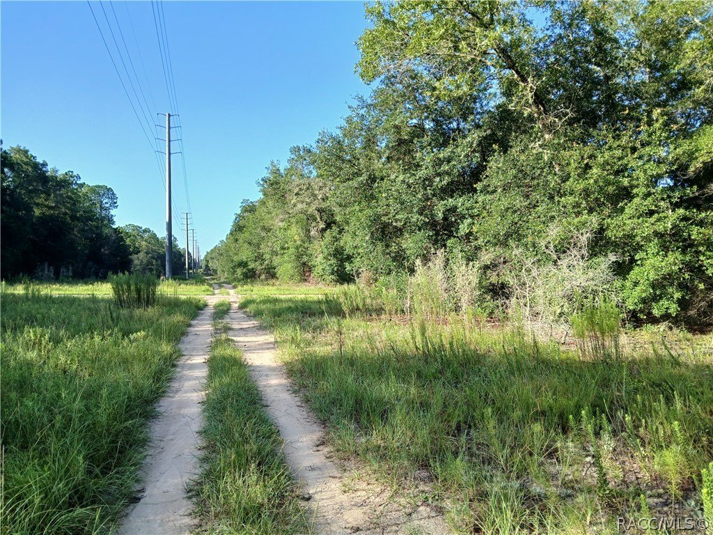 Picture 9