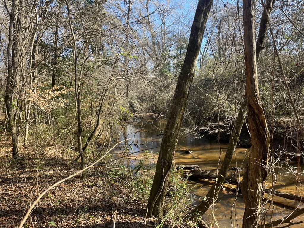 Picture 28