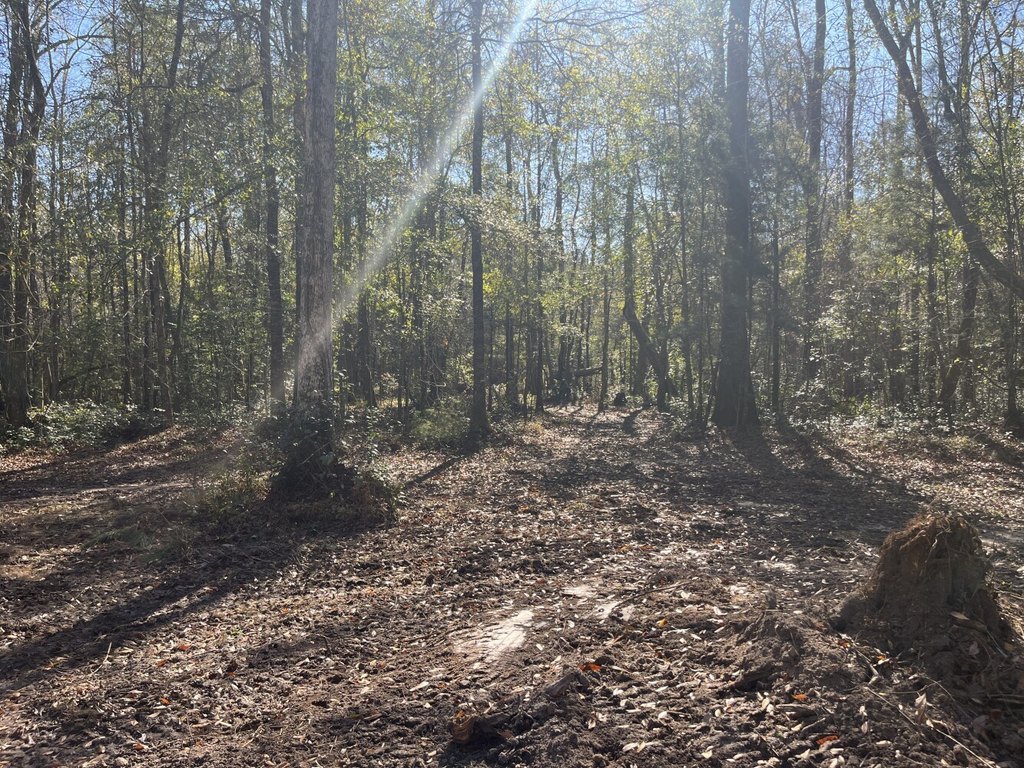 Picture 41