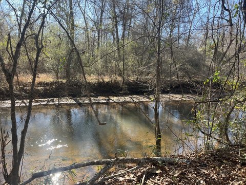 Recreational Hunting Land with Creeks