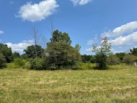 Residential Land in Hemlock Hills