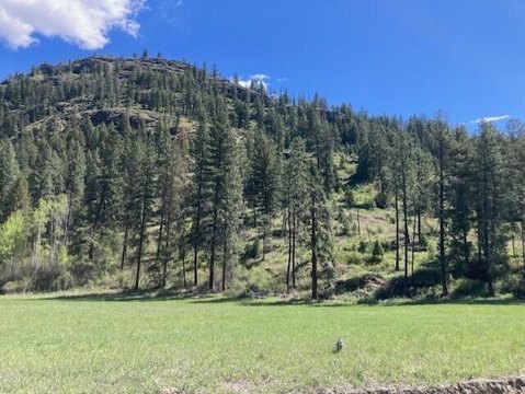 Kettle Falls Acreage with Views