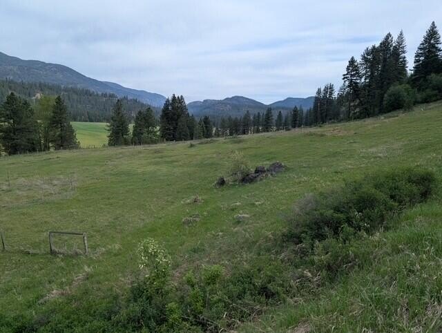 Picture 7