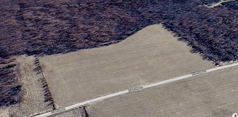 Pasture & Timber Tract