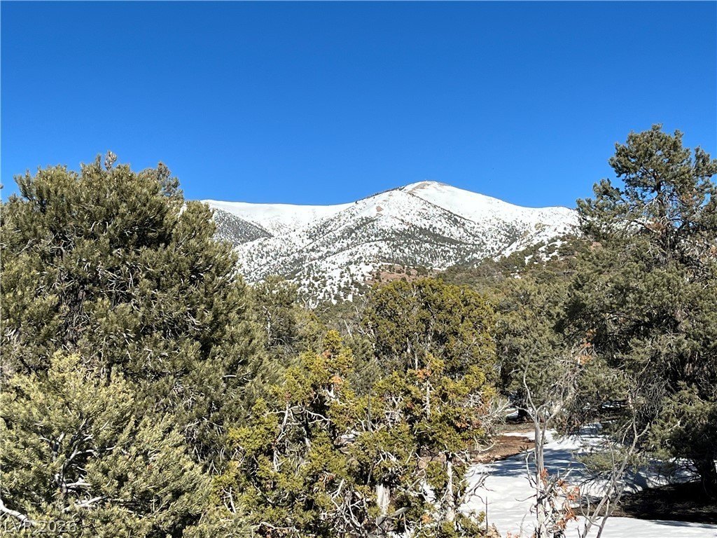 Five Acre Nevada Land Parcel
